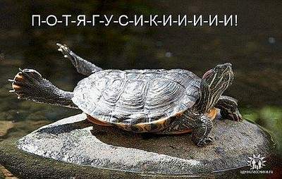480 X 305 62.3 Kb Улыбнемся?