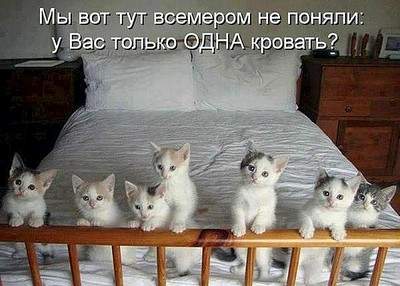 600 X 429 70.3 Kb Улыбнемся?