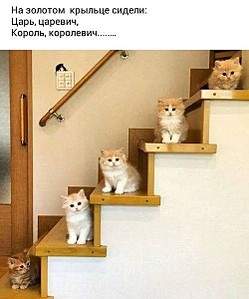 499 X 600 56.7 Kb 600 X 369 20.9 Kb 600 X 429 70.3 Kb Улыбнемся?