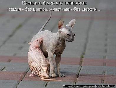 600 X 457 57.2 Kb Улыбнемся?