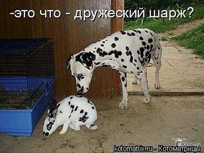 480 X 360 57.2 Kb Улыбнемся?