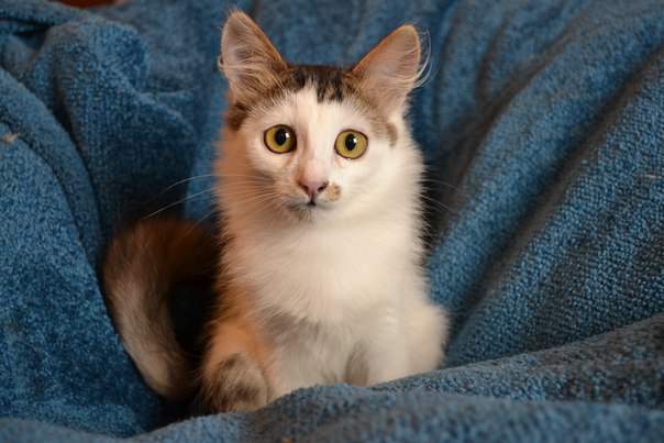 604 x 403 402 X 604 48.4 Kb 604 x 403 604 x 403 ...      !