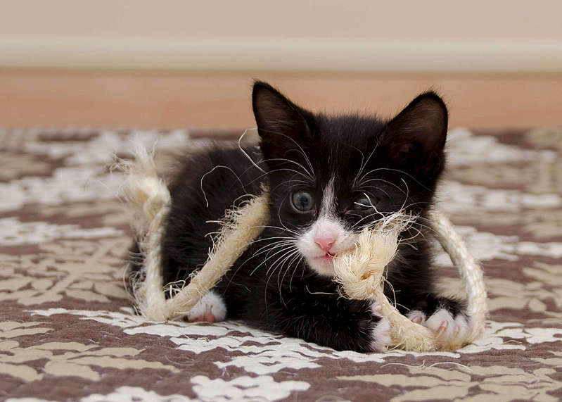 1920 X 1371 228.8 Kb 1920 X 1441 232.4 Kb 1920 X 1457 248.0 Kb 1920 X 1271 180.5 Kb          .