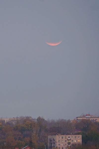 1959 X 2939 600.8 Kb ежедневка