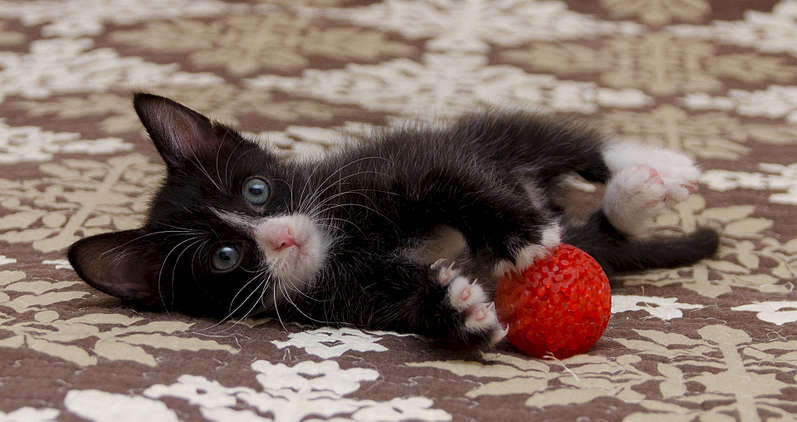 1920 X 1015 206.2 Kb .      .