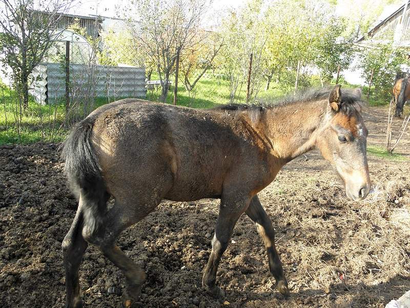 1280 X 960 500.2 Kb   - 