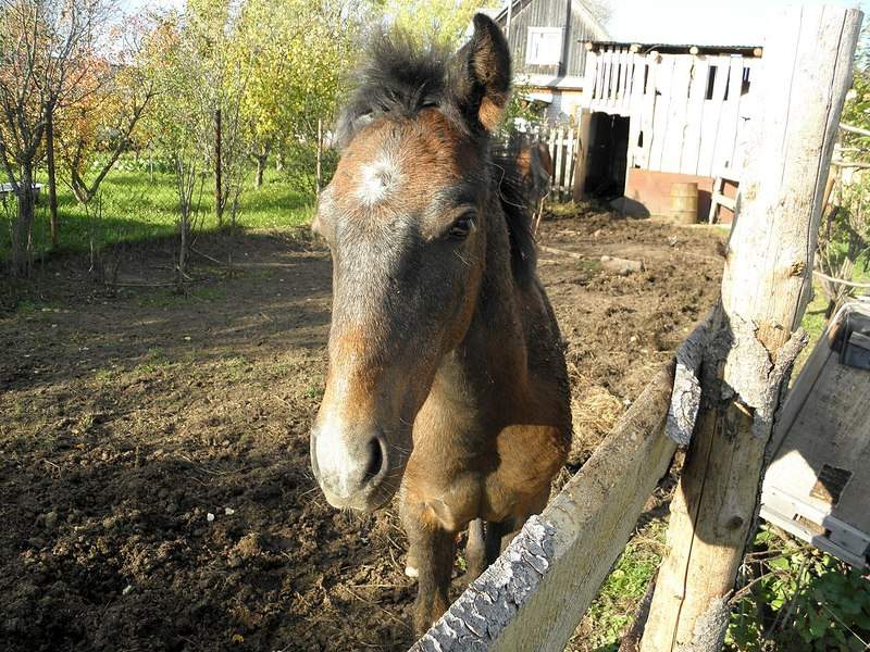 1280 X 960 421.6 Kb 1280 X 960 500.2 Kb   - 