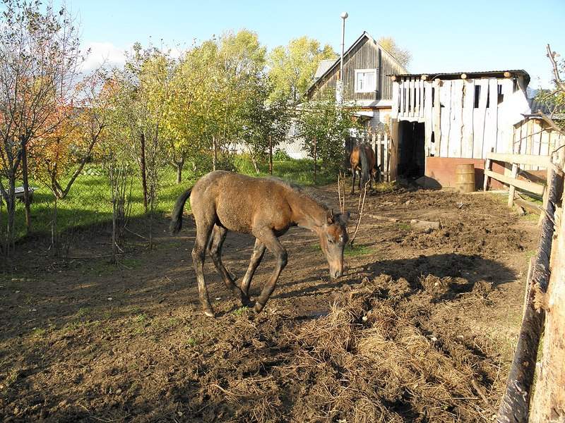 1280 X 960 490.2 Kb 1280 X 960 421.6 Kb 1280 X 960 500.2 Kb   - 