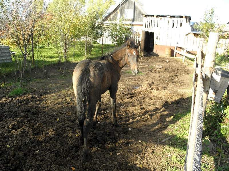 1280 X 960 393.9 Kb 1280 X 960 490.2 Kb 1280 X 960 421.6 Kb 1280 X 960 500.2 Kb   - 