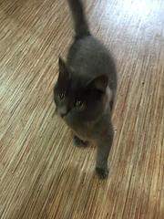 960 X 1280 130.3 Kb 960 X 1280 207.7 Kb 960 X 1280 224.8 Kb  -   