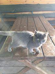 960 X 1280 118.0 Kb 960 X 1280 153.4 Kb  -   