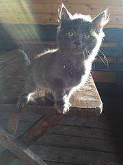 960 X 1280  98.0 Kb 960 X 1280 118.0 Kb 960 X 1280 153.4 Kb  -   