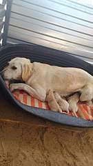 576 X 1024 121.8 Kb 1280 X 853 162.0 Kb 576 X 1024 179.3 Kb     -   ( )