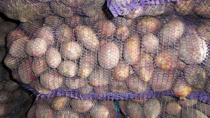 1280 X 721 313.7 Kb ������ ��������� (�����)