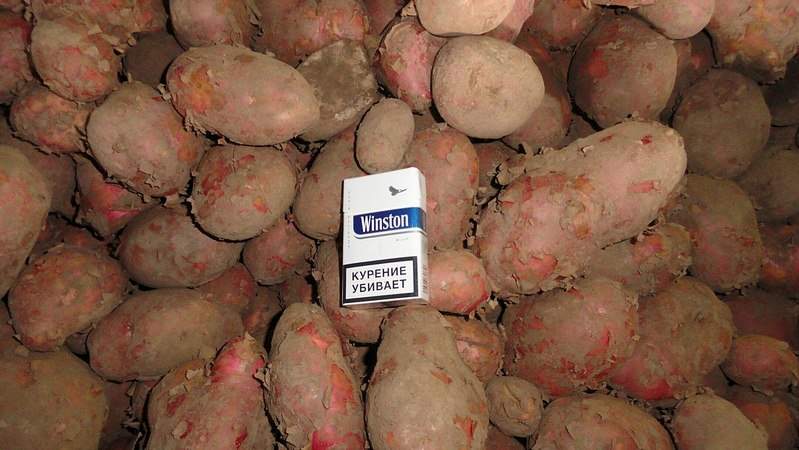 1280 X 721 181.1 Kb 1280 X 721 313.7 Kb ������ ��������� (�����)