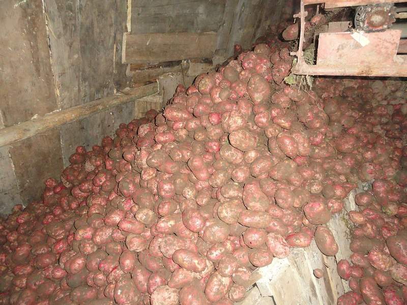 1280 X 960 301.1 Kb 1280 X 721 181.1 Kb 1280 X 721 313.7 Kb ������ ��������� (�����)