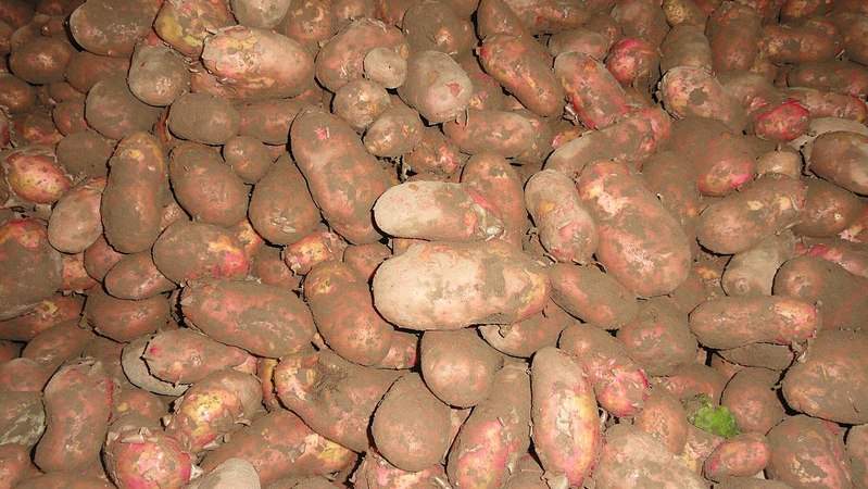 1280 X 721 228.4 Kb 1280 X 960 301.1 Kb 1280 X 721 181.1 Kb 1280 X 721 313.7 Kb ������ ��������� (�����)