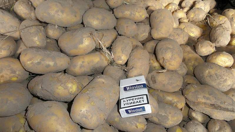 1280 X 721 196.9 Kb 1280 X 721 228.4 Kb 1280 X 960 301.1 Kb 1280 X 721 181.1 Kb 1280 X 721 313.7 Kb ������ ��������� (�����)