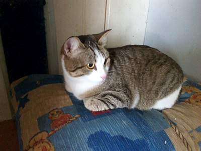 1280 X 960 210.9 Kb ����� �����