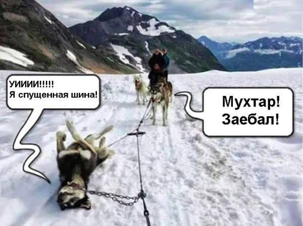 600 x 448 Улыбнемся?