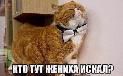604 X 377  42.0 Kb Улыбнемся?