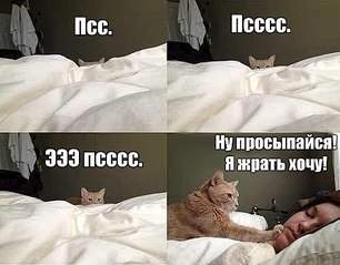 500 X 391  30.1 Kb Улыбнемся?