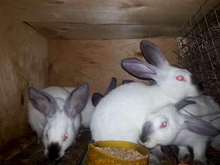 1920 X 1440 160.1 Kb 1920 X 1440 352.1 Kb 