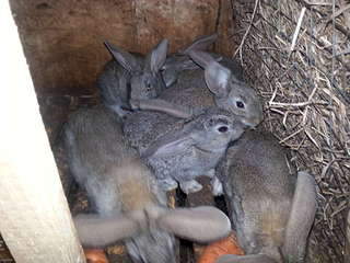 1920 X 1440 233.2 Kb 1920 X 1440 160.1 Kb 1920 X 1440 352.1 Kb 