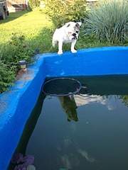 1080 X 1440 412.5 Kb 1200 X 1600 896.3 Kb 1080 X 1440 467.6 Kb 1080 X 1440 347.1 Kb   .   !