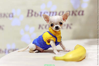 640 X 427 170.4 Kb  !