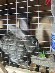 1080 X 1440 169.5 Kb 1920 X 1440 158.3 Kb 