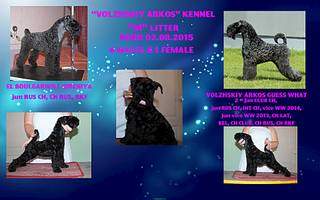 1920 X 1200 201.8 Kb  --