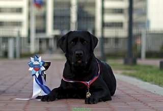 604 X 412  38.7 Kb 604 X 412  41.5 Kb   