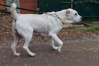 1920 X 1280 279.2 Kb  , . '  ' ., :