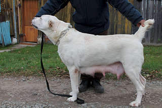 1920 X 1280 229.5 Kb 1920 X 1280 279.2 Kb  , . '  ' ., :