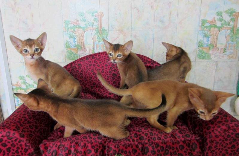 1834 X 1198 355.6 Kb 1984 X 1488 650.8 Kb 1984 X 1488 643.8 Kb  