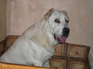 1920 X 1440 160.4 Kb  , . '  ' ., :