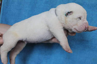 1920 X 1280 144.1 Kb 1920 X 1280 123.8 Kb 1920 X 1280 122.8 Kb  , . '  ' ., :