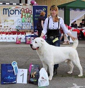 695 X 720 98.7 Kb  , . '  ' ., :