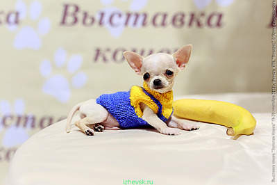 640 X 427 167.2 Kb  !