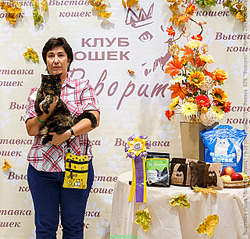 640 X 612 508.3 Kb 640 X 427 289.8 Kb 640 X 574 426.4 Kb Длинношерстные бриташки и компания! У нас есть котята!