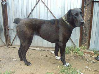 1181 X 886 166.3 Kb   , .. 03.10.15.