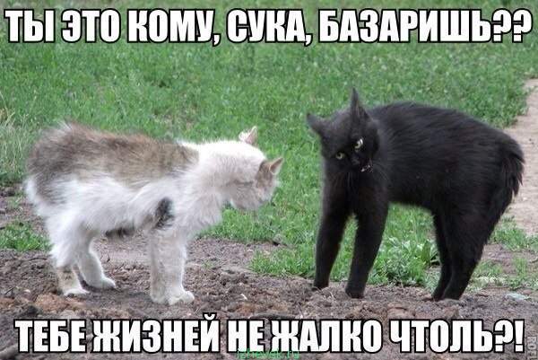 600 x 401 Улыбнемся?