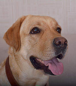 1328 X 1500 194.6 Kb 1500 X 1108 205.7 Kb   ()