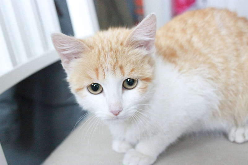 1920 X 1280 128.2 Kb " "      