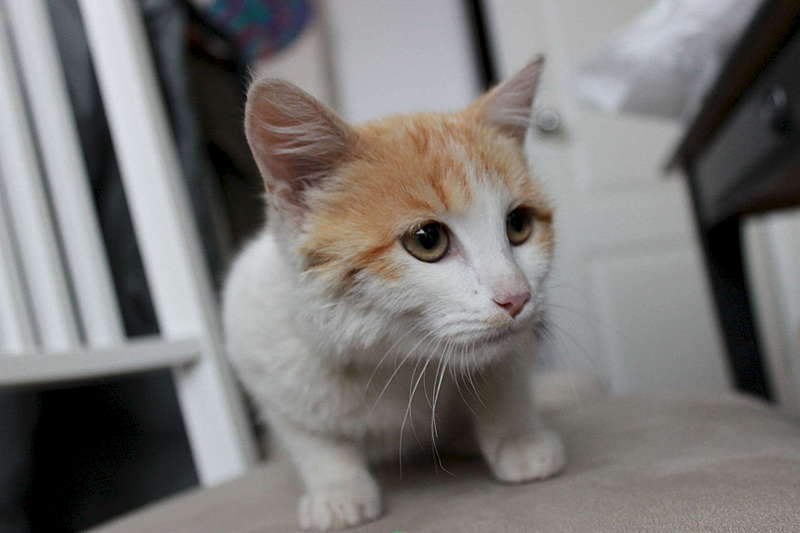 1920 X 1280 117.5 Kb 1920 X 1280 128.2 Kb " "      