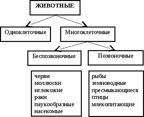 438 X 357   9.0 Kb 2006-2007г. р.:)