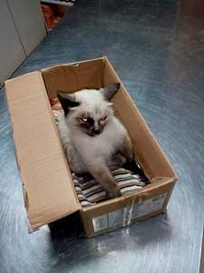 1536 X 2048 665.4 Kb     