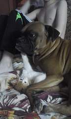 1232 X 2048 304.5 Kb     