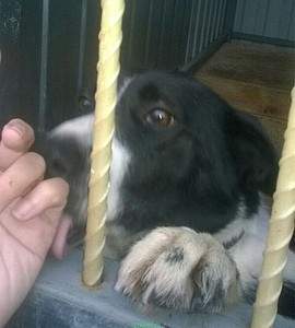 749 X 831 139.0 Kb    ,  